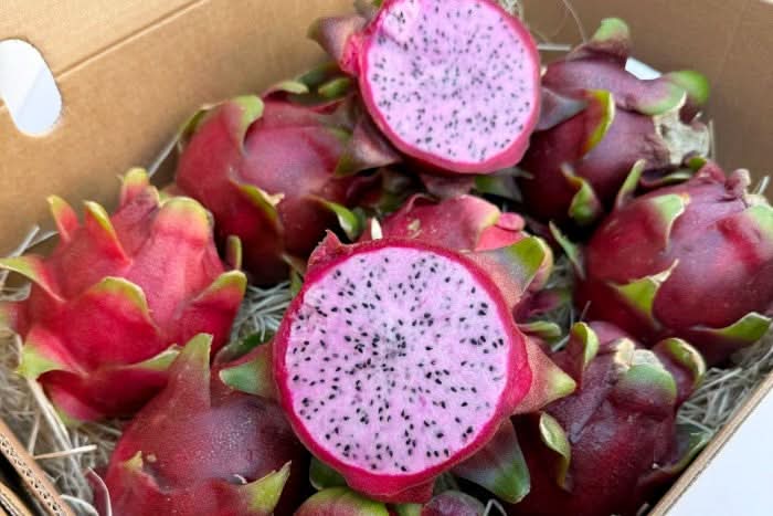 Drachenfrucht rosa Sparpreis-Box