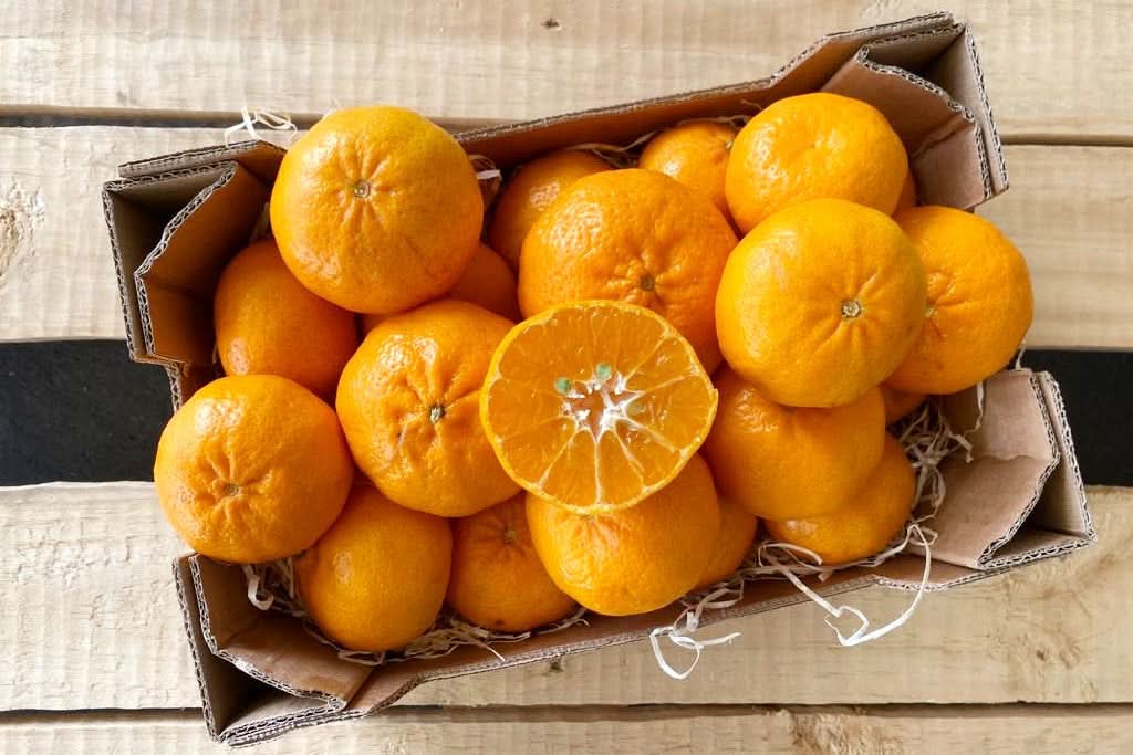 Echte Mandarinen "Ciaculli" Bio Sizilien Sparpreis-Box % - Image 2