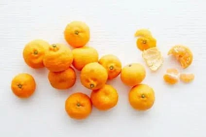 Echte Mandarinen "Ciaculli" Bio Sizilien Sparpreis-Box % - Image 3