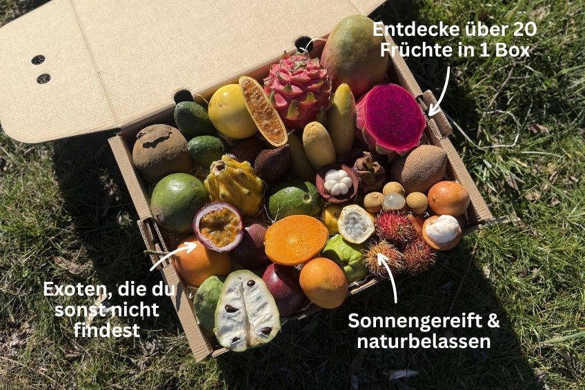 Tropen-Weltreise Exotenbox - Image 2