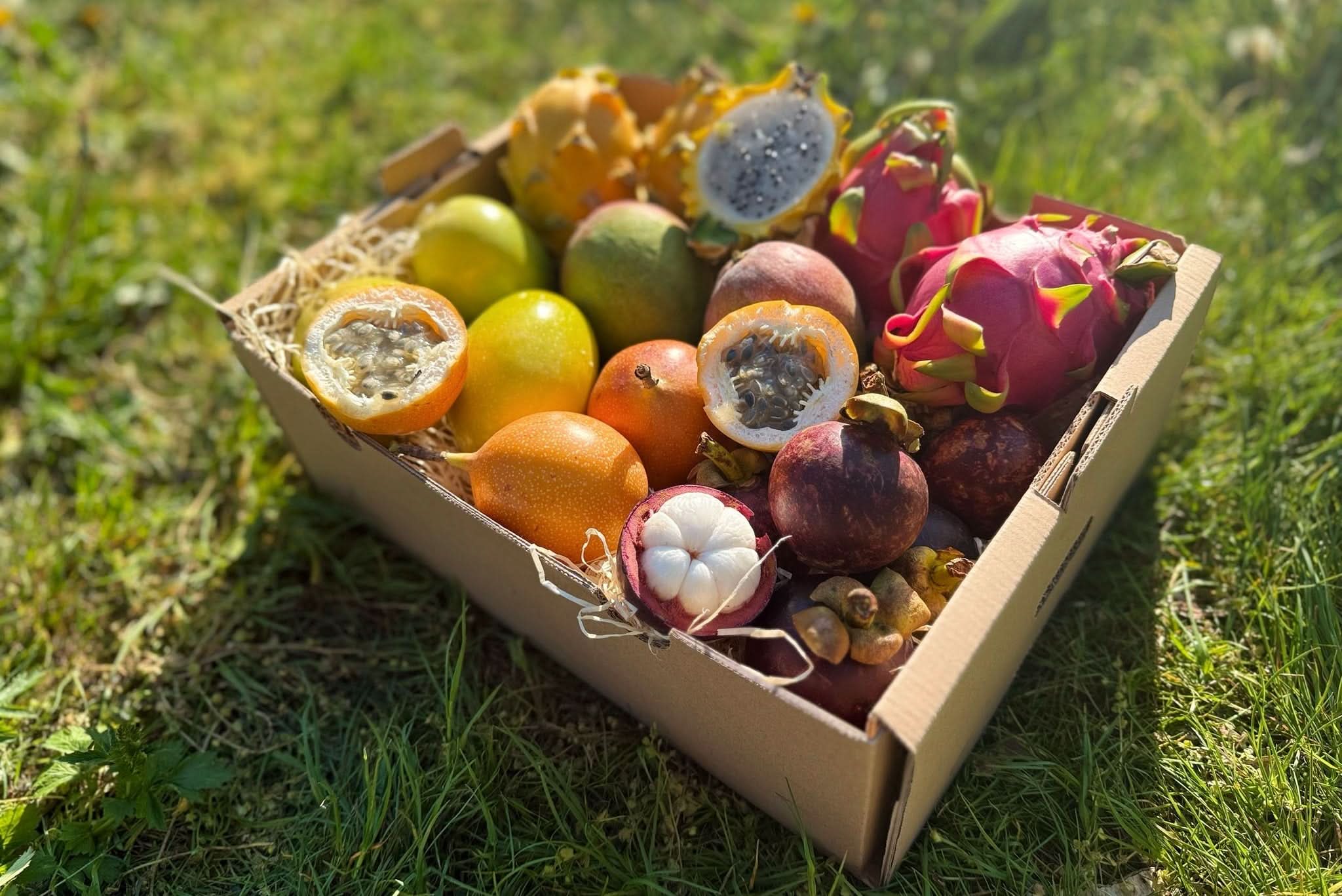 Exotische Früchtebox "Anden-Gold" - Image 3