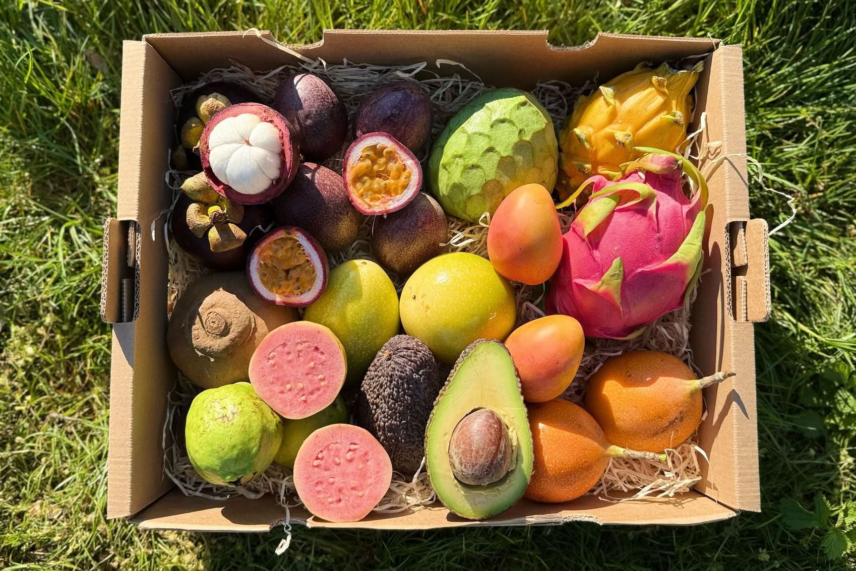 Probierbox "Exotische Früchte" - Image 9
