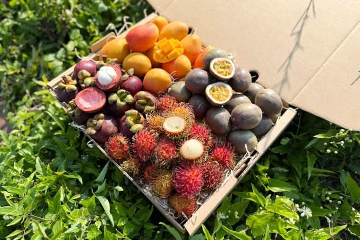 Früchtebox "Colombia Mágica" - Image 2