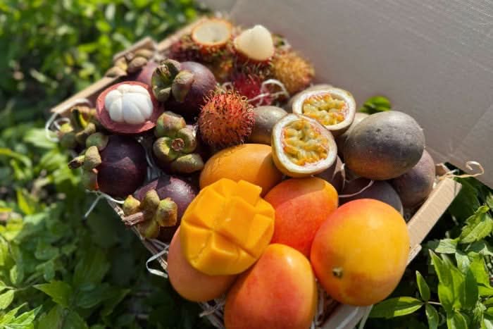 Früchtebox "Colombia Mágica" - Image 4