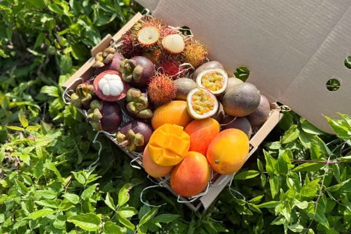 Früchtebox "Colombia Mágica" - Image 5