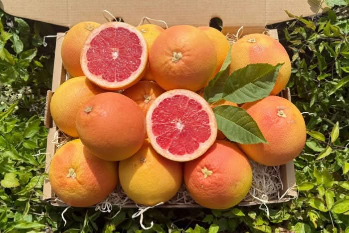 Grapefruit Bio Pink