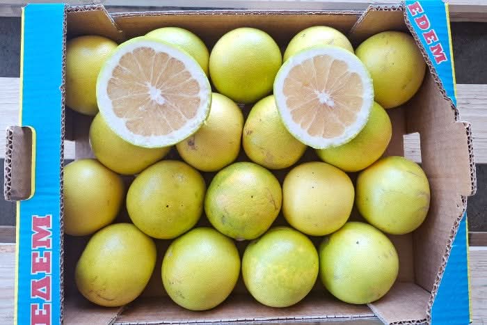 Grapefruit weiss Bio von Apostolis Kreta 4kg Box