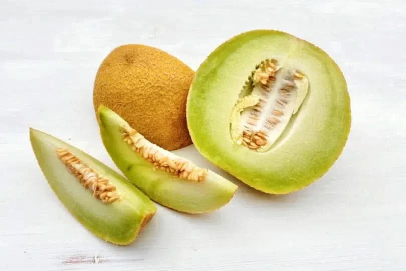 Honigmelone Bio Galia - Image 2
