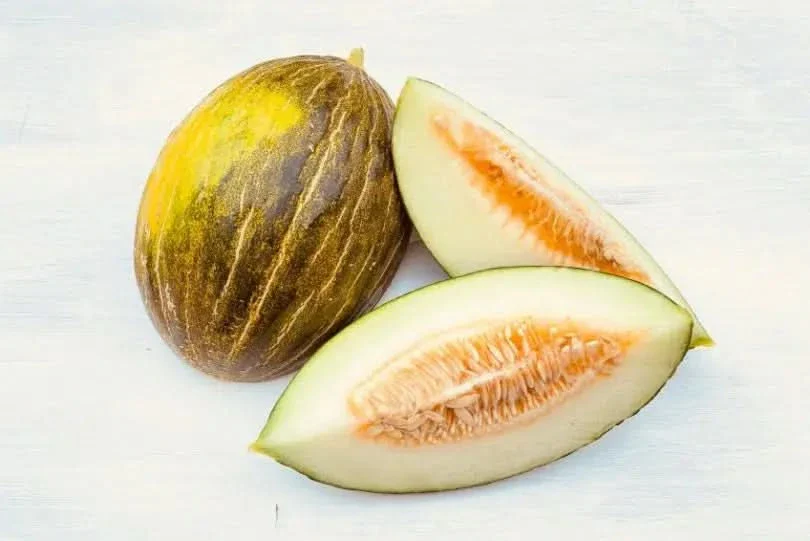 Honigmelone Piel de Sapo Bio - Image 2