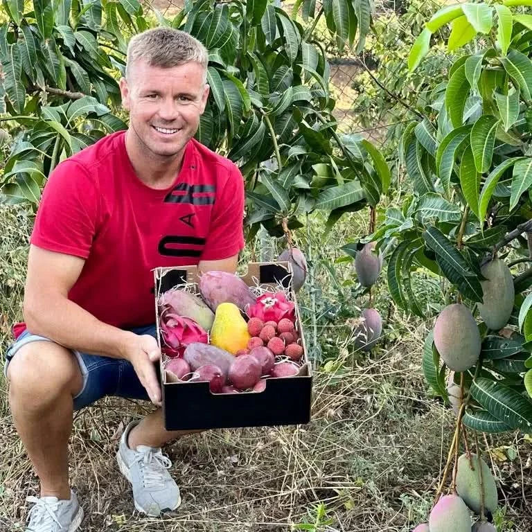 Julian’s exotische Paradiesbox - Image 3
