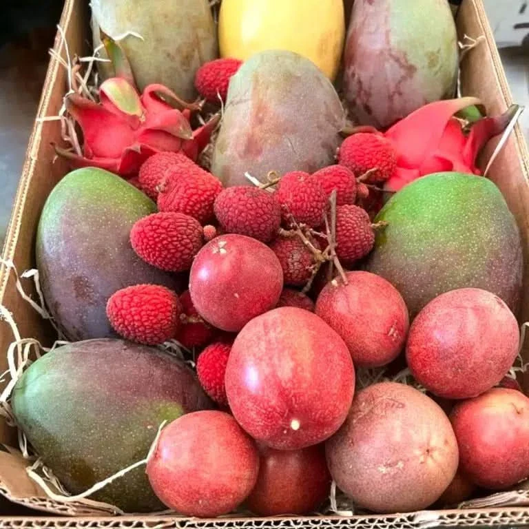 Julian’s exotische Paradiesbox - Image 7