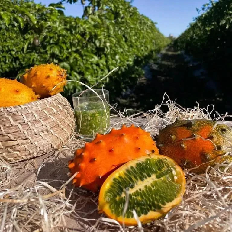 Kiwano von Salvador Aktionspreis - Image 2
