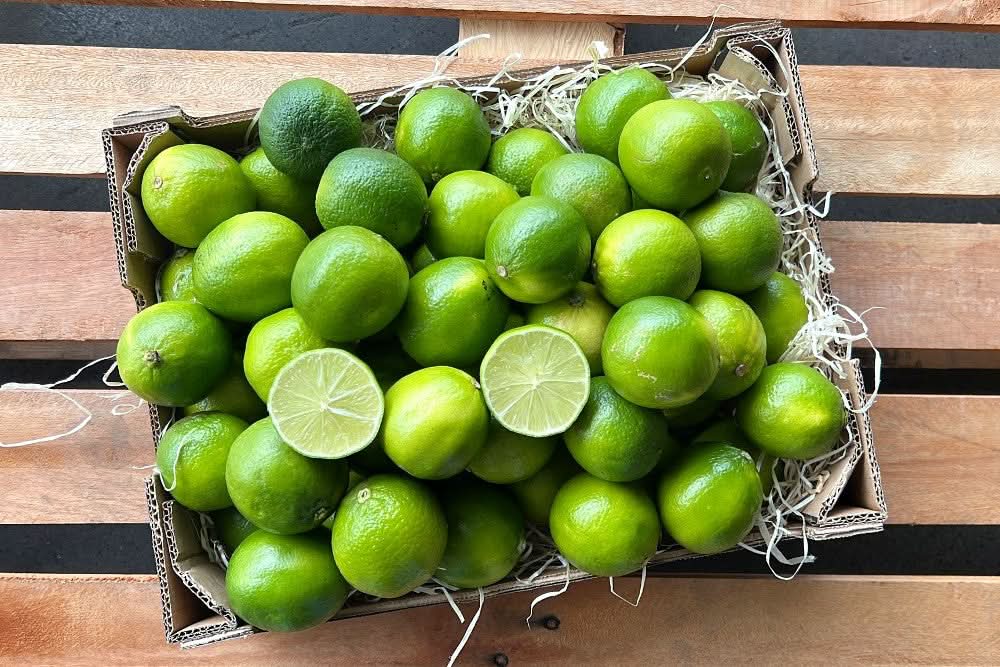 Limetten Bio Box