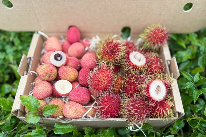 Litschi & Rambutan Box Sonderpreis - Image 3