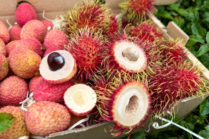 Litschi & Rambutan Box Sonderpreis - Image 4