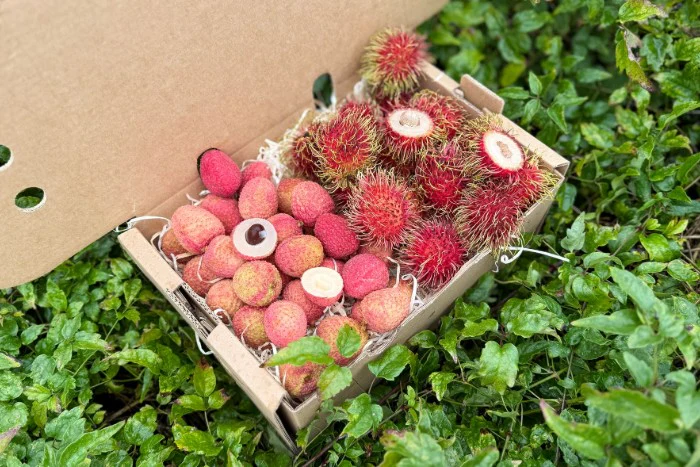 Litschi & Rambutan Box Sonderpreis - Image 6