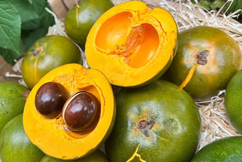 Lucuma 1 Stk. - Image 2