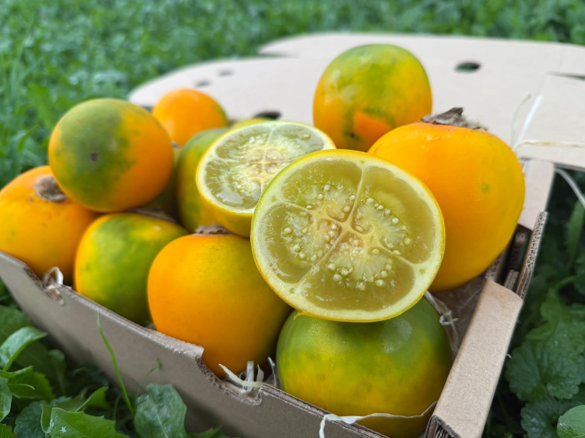 Lulo (Naranjilla) 1 Stk.