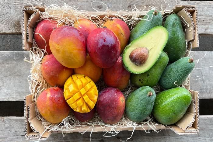 Mango-Avocado Bio Box Aktionspreis % 4kg