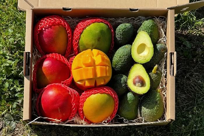 Man-Cado Box Sparpreis - Image 2