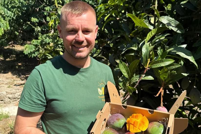 Mango-Avocado Bio Box Aktionspreis % 4kg - Image 2