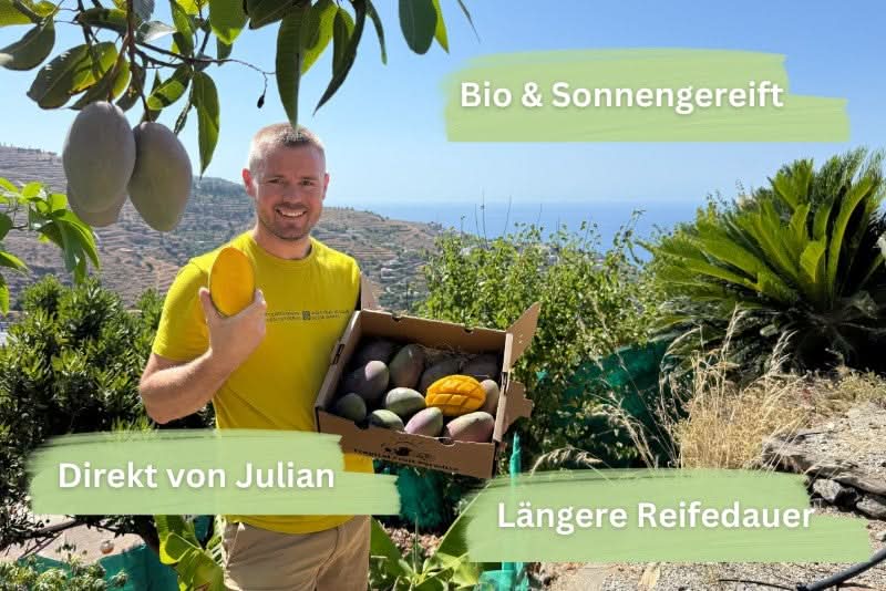 Mango-Avocado Bio Box Aktionspreis % 4kg - Image 3