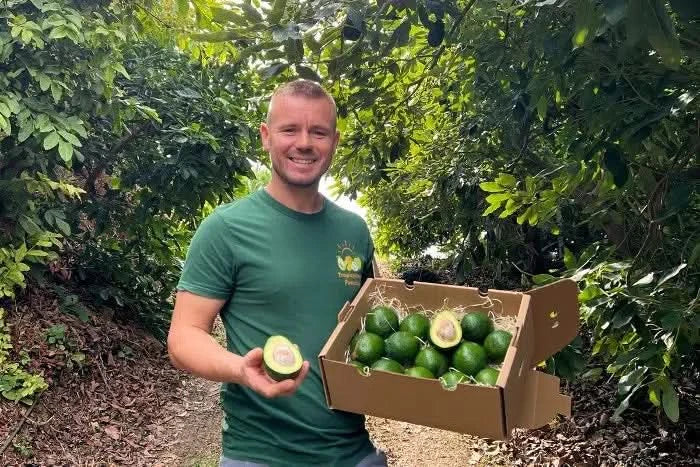 Mango-Avocado Bio Box Aktionspreis % 4kg - Image 7