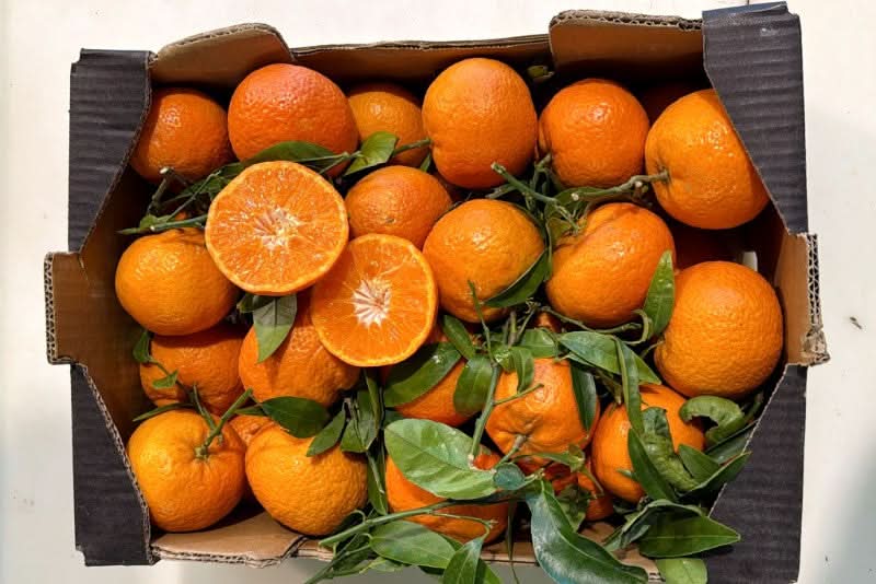 Mandarinen "Leanri" 500g