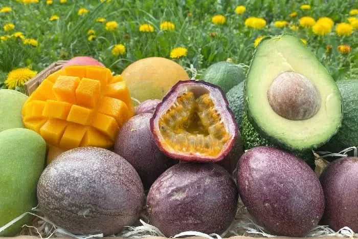 Mango, Avo & Passion Box - Image 13