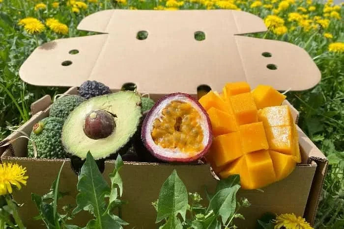 Mango, Avo & Passion Box - Image 2