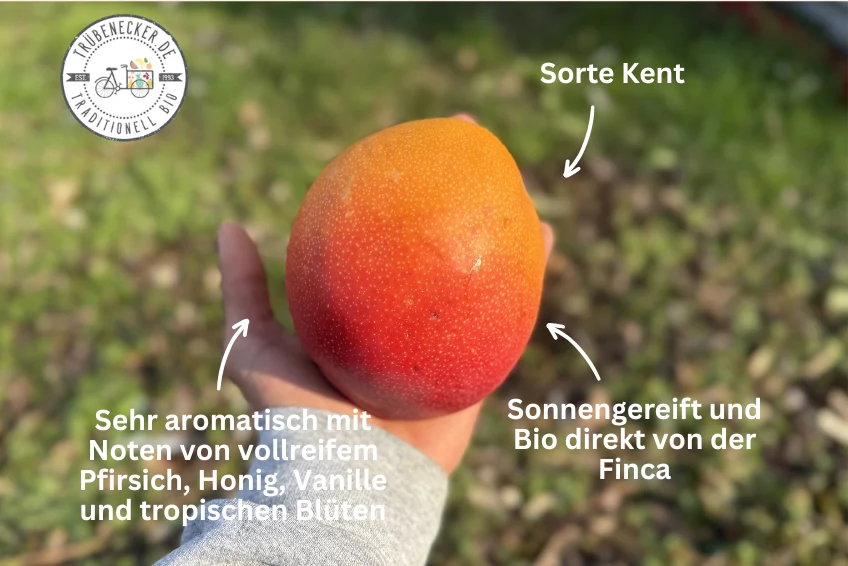 Mango-Trio Mix-Box 2kg Sonderaktion % - Image 3