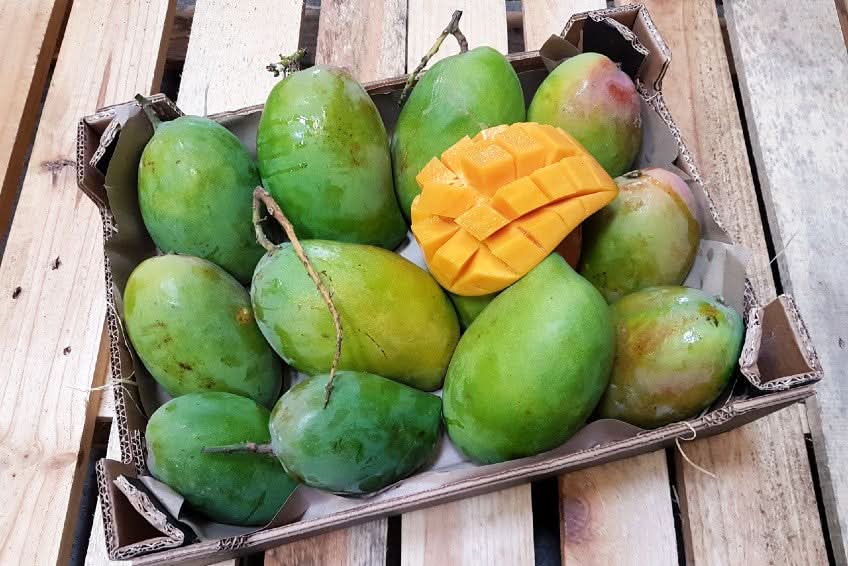 Mango Espada Bio von Rufino Kennenlernpreis