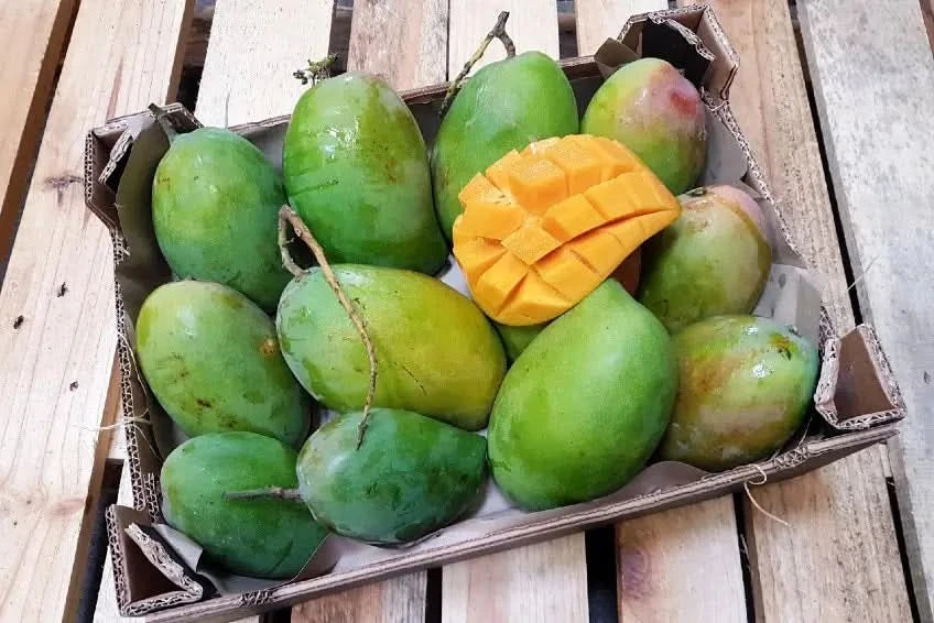 Mango Espada Bio von Rufino Sparpreis-Box
