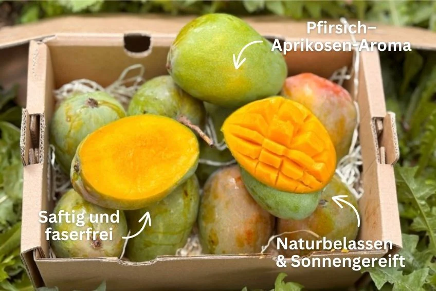 Mango Glenn Bio von Julian Sparbox - Image 2