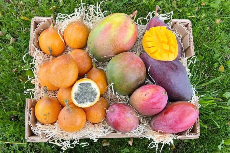 Mango & Granadilla Box 3kg Sonderaktion %