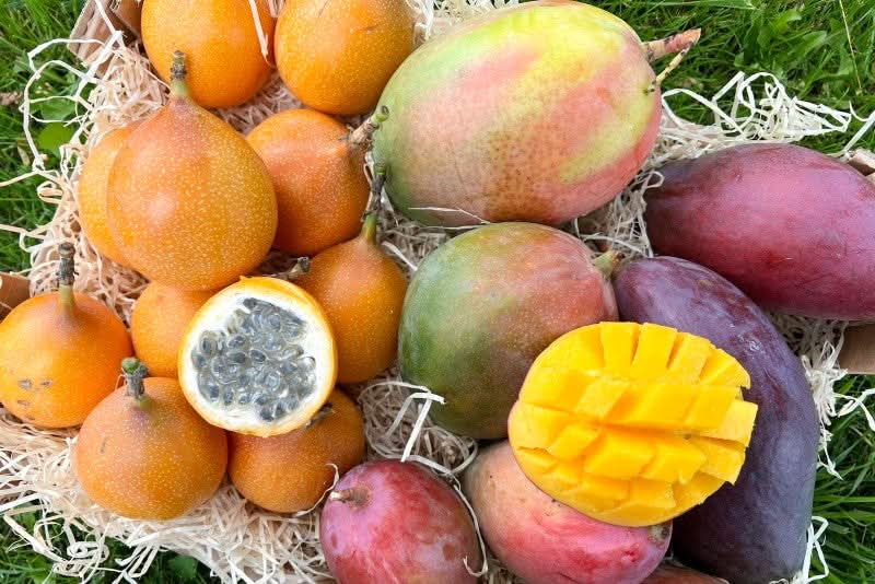Mango & Granadilla Box 3kg Sonderaktion % - Image 2