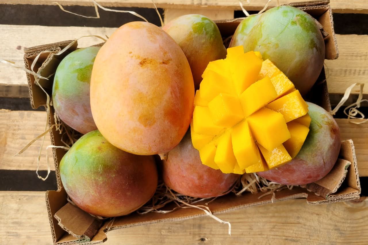 Mango Keitt von Julian Sonderaktion % 4kg Box - Image 4