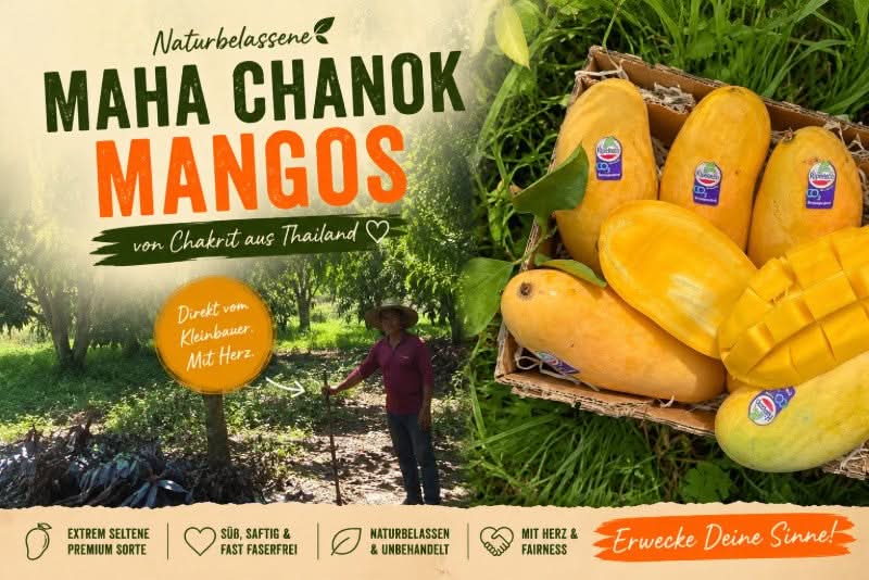 Mango "Maha Chanook" baumgereift 2,5kg Box - Image 2