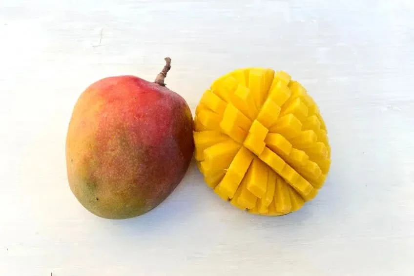 Mango Manzanillo Bio von Rufino Kennenlernpreis