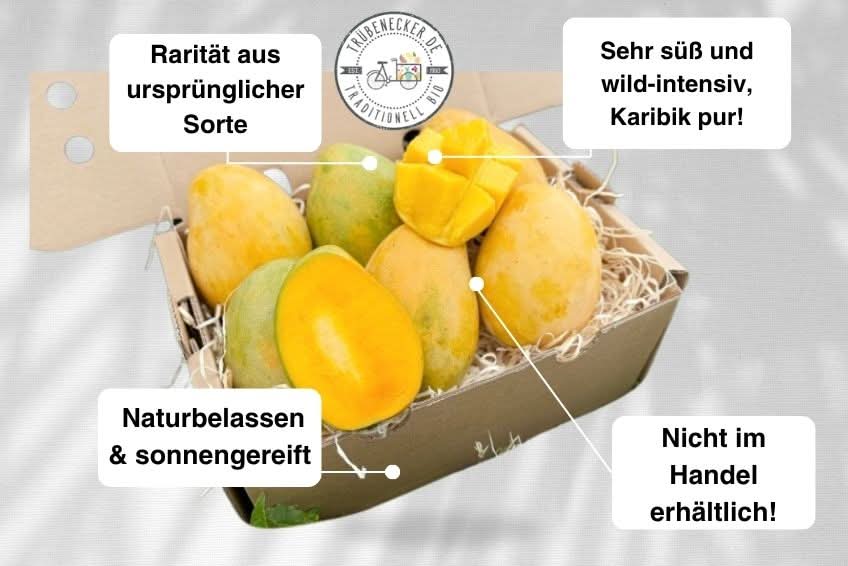 Mango Mingolo baumgereift - Image 2
