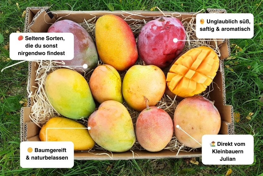 Mango-Raritäten Mix Box von Julian Farmerbox - Image 2