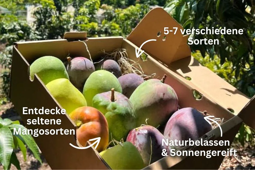 Mango-Späternte Mix von Julian Sparpreis - Image 6