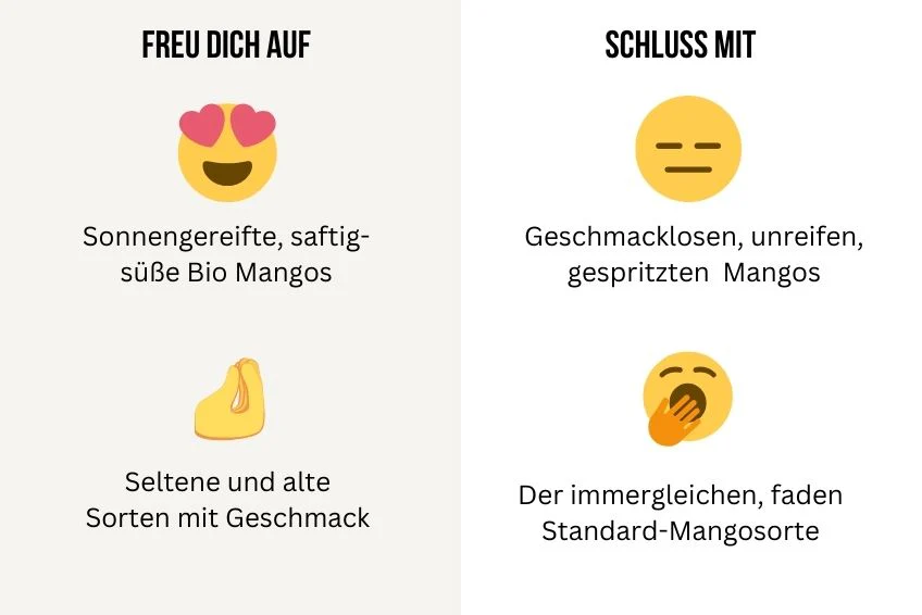 Mango-Späternte Mix von Julian Sparpreis - Image 8
