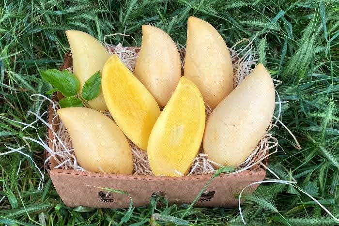 Mango "Nam Dok Mai" naturbelassen 2,5kg Box Aktionspreis %