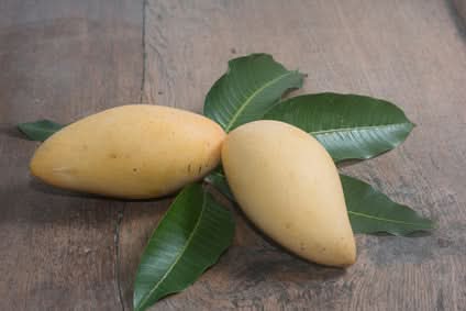 Mango "Nam Dok Mai" naturbelassen 2,5kg Box Aktionspreis % - Image 6