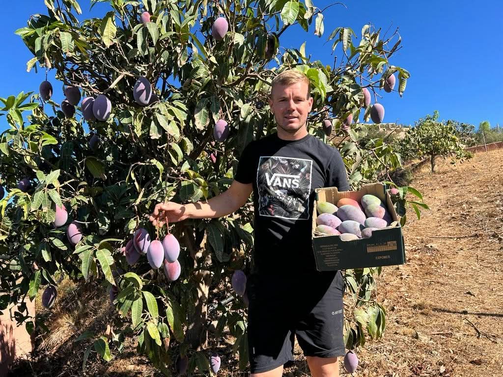 Mango Osteen Bio von Julian Box Sonderaktion! - Image 2