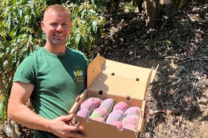 Mango Osteen von Julian Aktionspreis % - Image 14