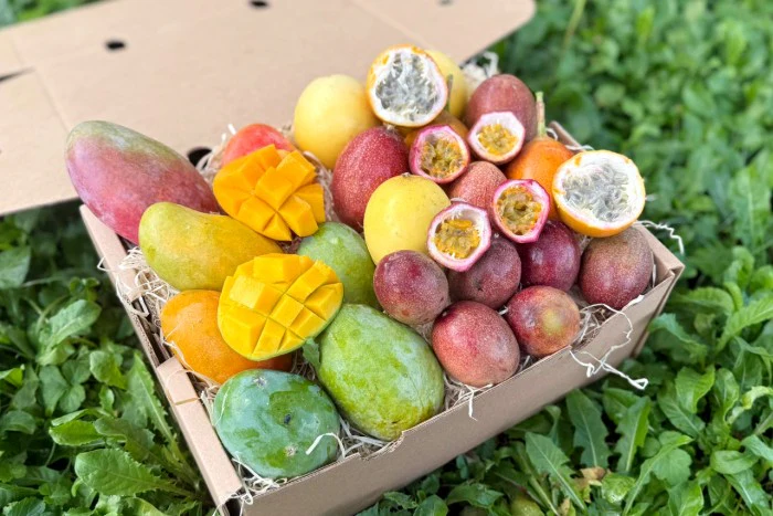 Mango & Passiflora Duo Box - Image 2