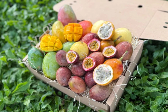 Mango & Passiflora Duo Box - Image 6