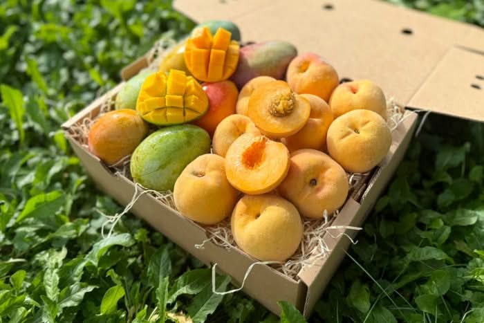Mango & Pfirsich Duo Box - Image 2